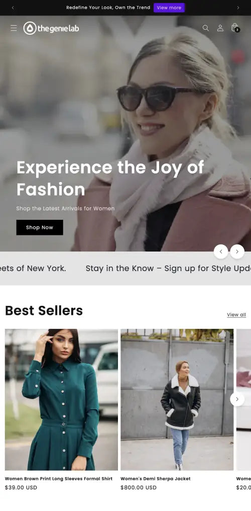 A fashionable, feature rich theme designed for luxury brands
