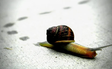 Why are APIs Important in eCommerce?